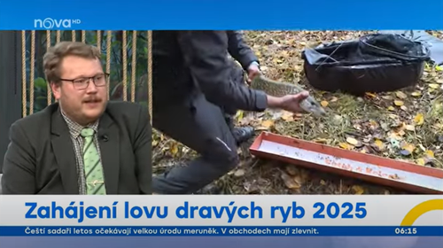 Snímek obrazovky 2025-06-17 093807.png